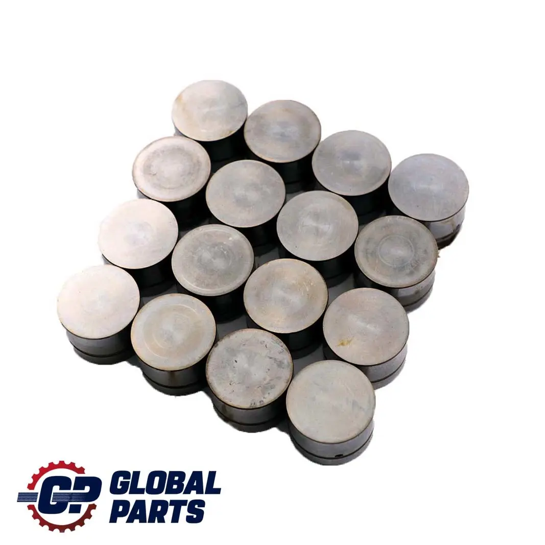 4.4i M62 Juego De taqu?s hidraulicos para BMW 1 E38 E39 E53 con número de pieza 1440256 BMW 1 E38 E39 E53 4.4i M62 Juego De taqu?s hidraulicos - SKU 1440256-1 - Número de pieza 1440256