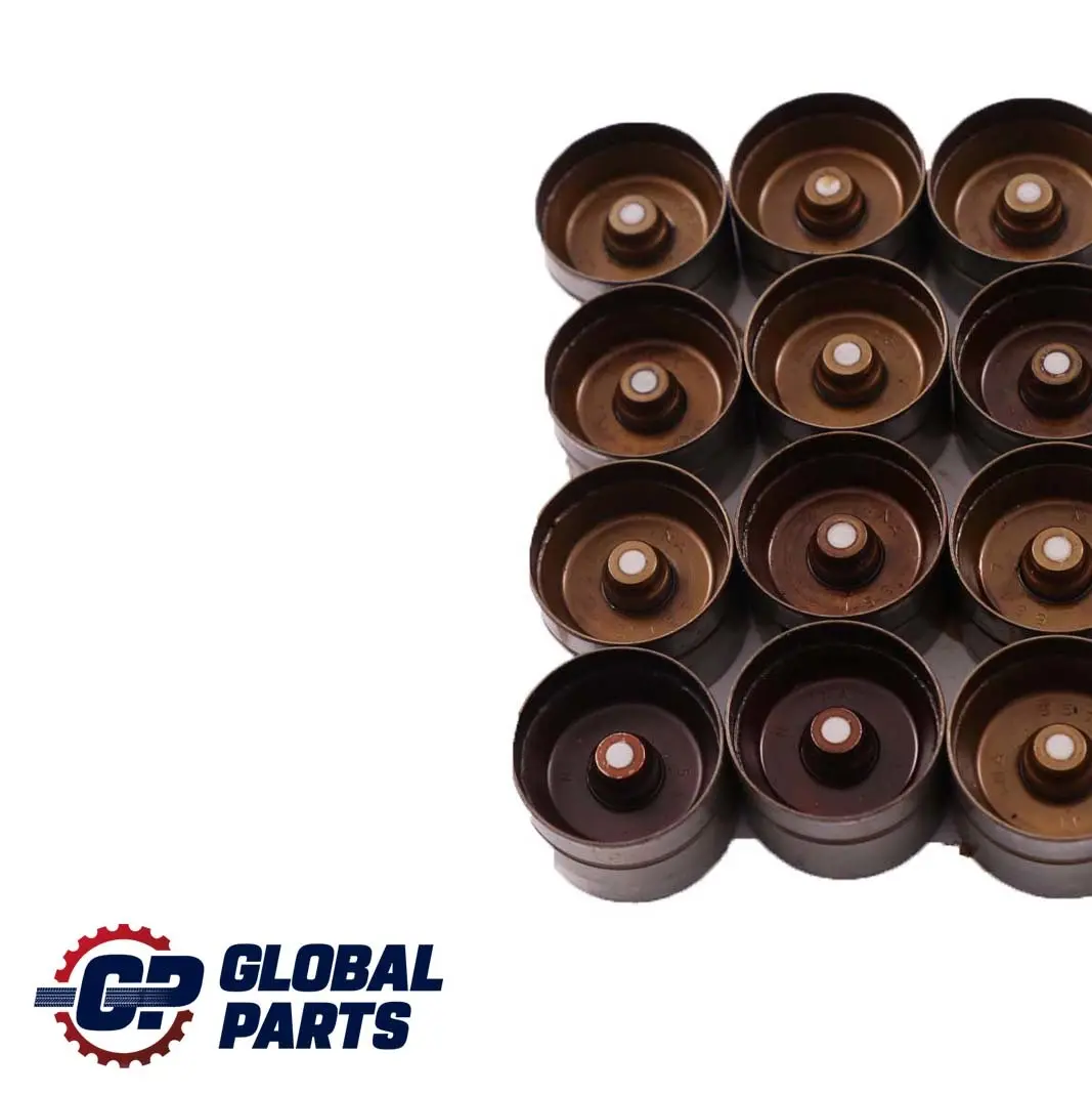 BMW 5 7 X5 Series 1 E38 E39 E53 4.4i M62 Hydraulic Valve Lifter Set - SKU 1440256-1 - Part number 1440256