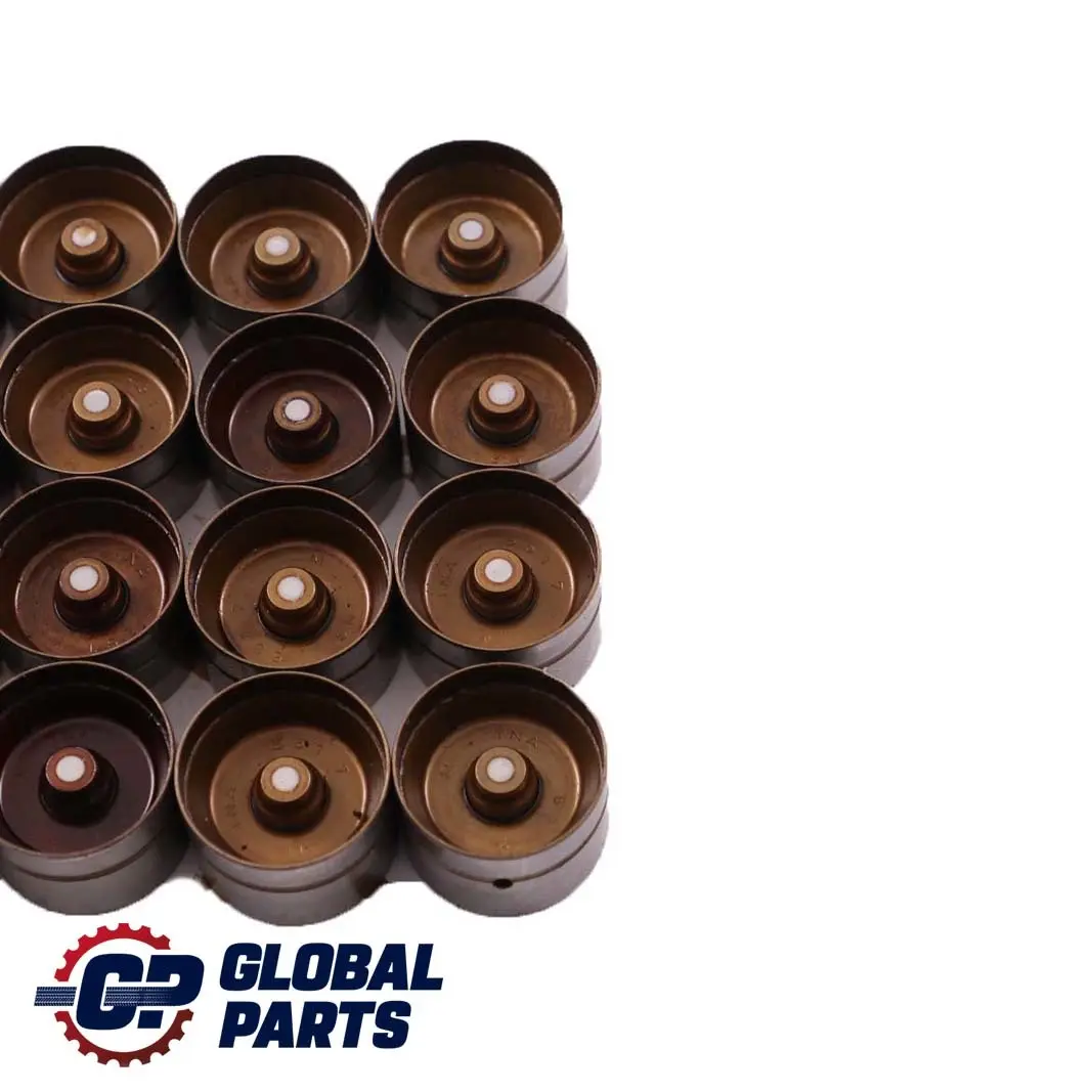 BMW 5 7 X5 Series 1 E38 E39 E53 4.4i M62 Hydraulic Valve Lifter Set - SKU 1440256-1 - Part number 1440256