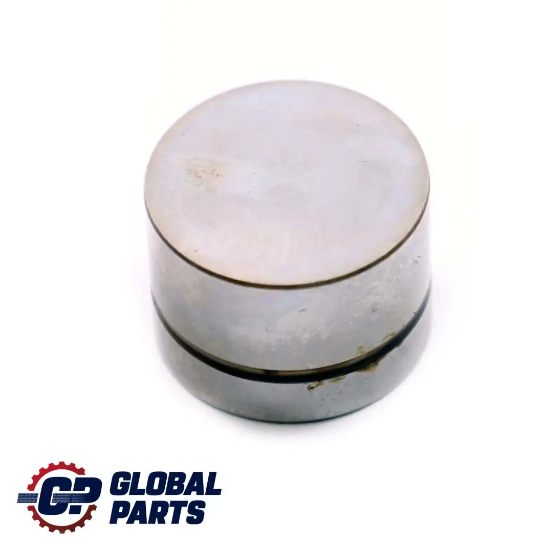 4.4i M62 Zawór popychacz do BMW E38 E39 E53 o numerze 1440256 BMW E38 E39 E53 4.4i M62 Zawór popychacz - SKU 1440256-2 - Numer Części 1440256