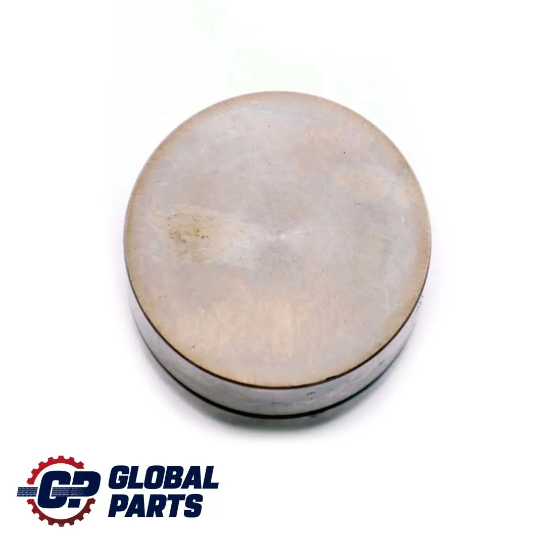 4.4i M62 Elevador De valvula hidraulico para BMW 2 E38 E39 E53 con número de pieza 1440256 BMW 2 E38 E39 E53 4.4i M62 Elevador De valvula hidraulico - SKU 1440256-2 - Número de pieza 1440256