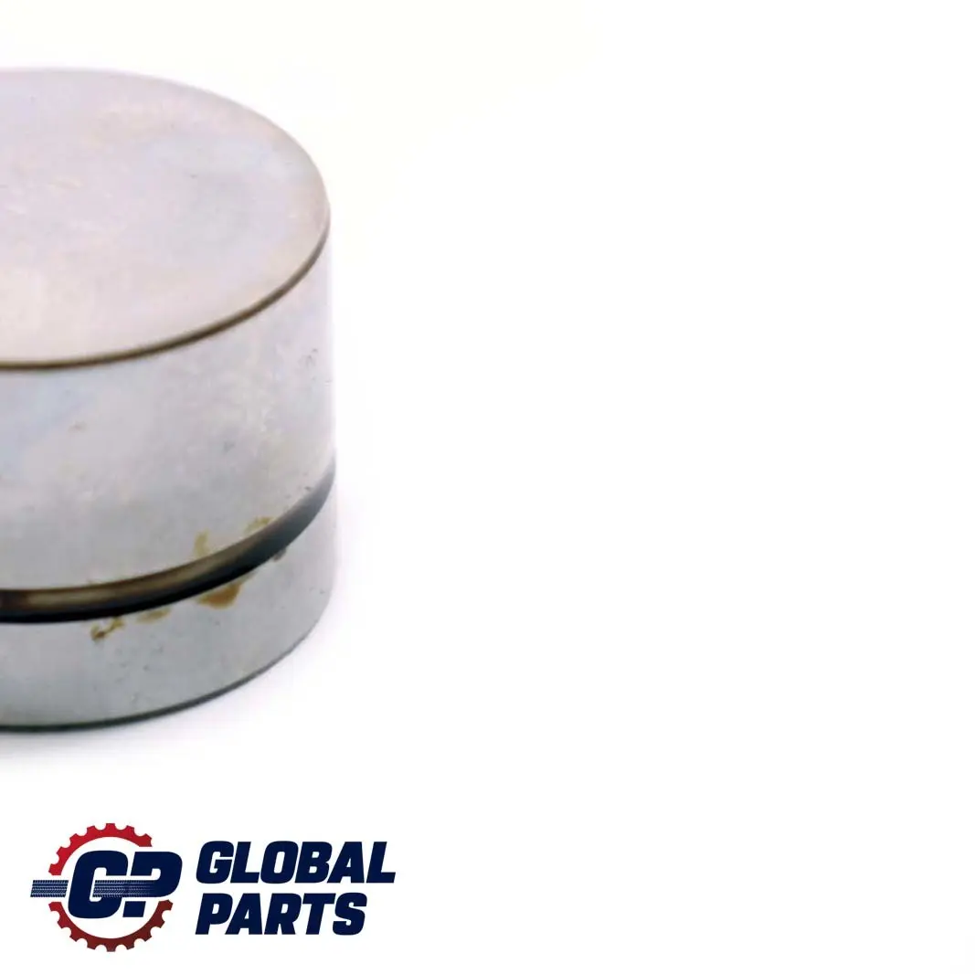 4.4i M62 Zawór popychacz do BMW E38 E39 E53 o numerze 1440256 BMW E38 E39 E53 4.4i M62 Zawór popychacz - SKU 1440256-2 - Numer Części 1440256