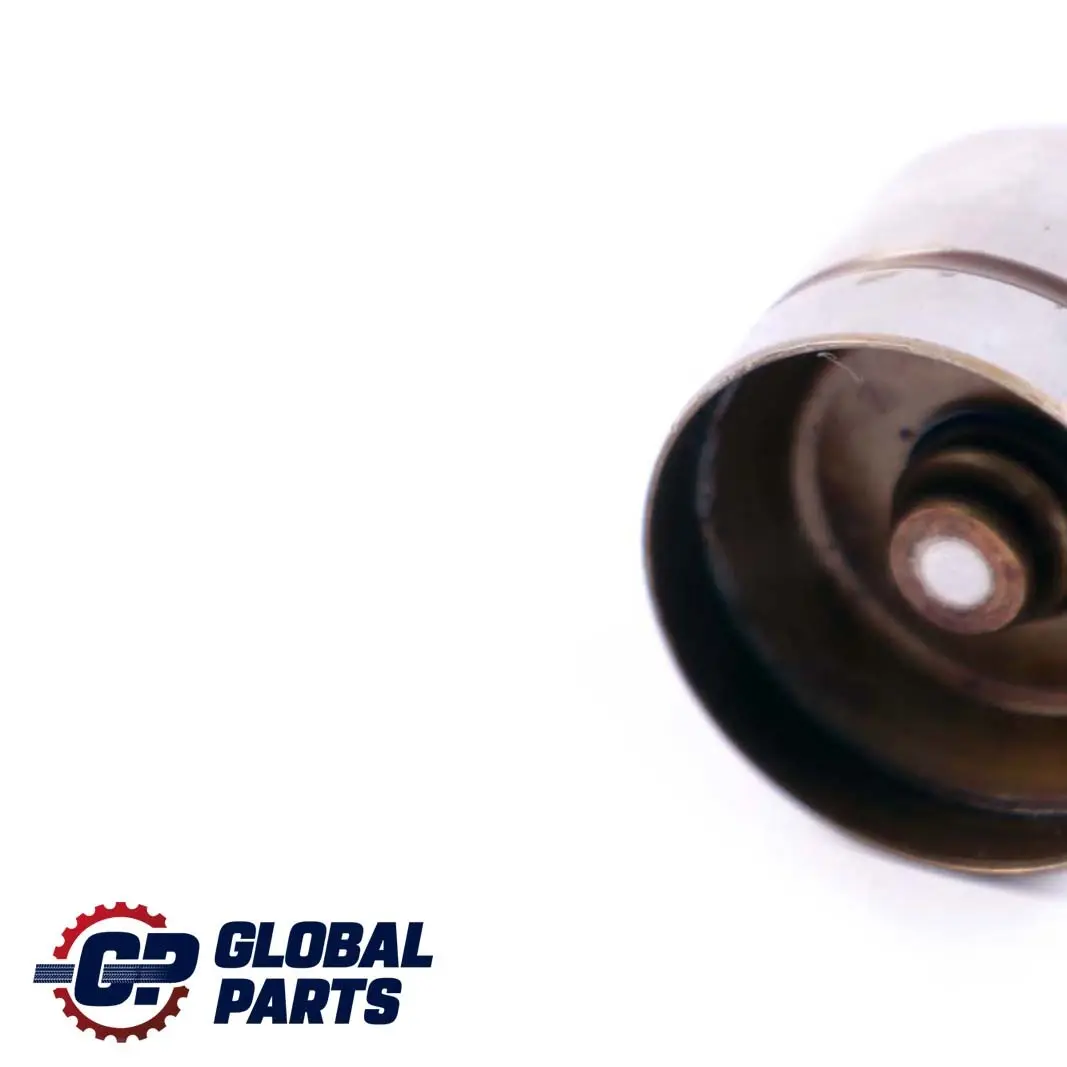 4.4i M62 Elevador De valvula hidraulico para BMW 2 E38 E39 E53 con número de pieza 1440256 BMW 2 E38 E39 E53 4.4i M62 Elevador De valvula hidraulico - SKU 1440256-2 - Número de pieza 1440256