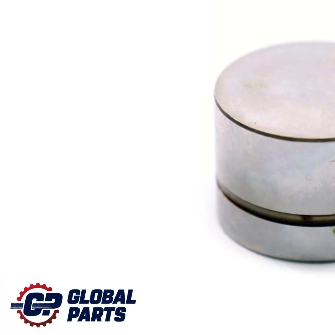 Fila E38 E39 E53 2 4.4i M62 Punterie Idraulico per BMW X5 con numero di parte 1440256 BMW X5 Fila E38 E39 E53 2 4.4i M62 Punterie Idraulico - SKU 1440256-2 - Numero di parte 1440256