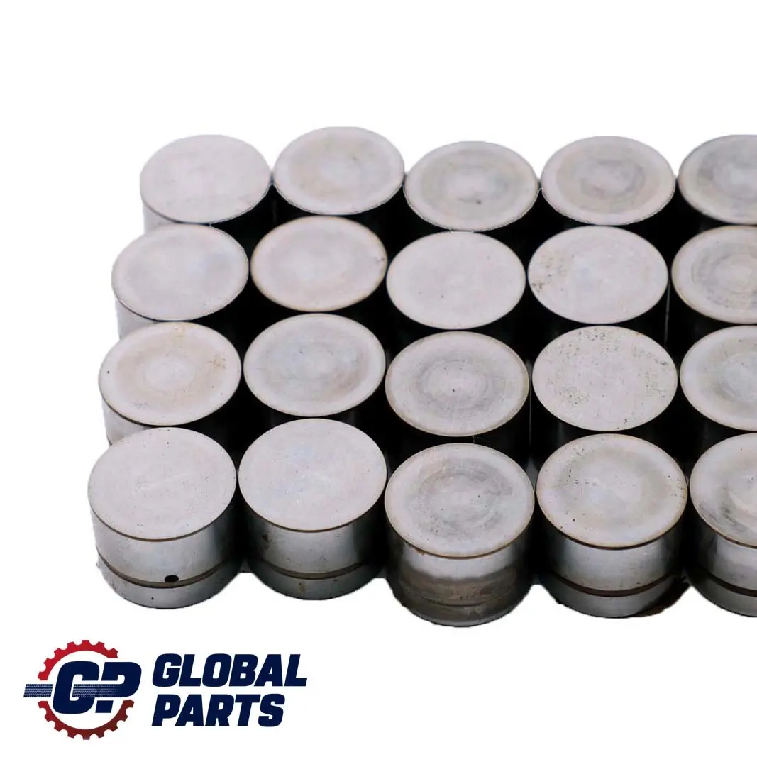 4.4i 4.6is M62 Juego De taqu?s hidraulicos para BMW E38 E39 E53 con número de pieza 1440256 BMW E38 E39 E53 4.4i 4.6is M62 Juego De taqu?s hidraulicos - SKU 1440256 - Número de pieza 1440256