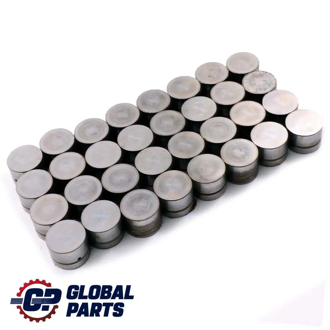 4.4i 4.6is M62 Punterie Idraulico Set per BMW X5 E38 E39 E53 con numero di parte 1440256 BMW X5 E38 E39 E53 4.4i 4.6is M62 Punterie Idraulico Set - SKU 1440256 - Numero di parte 1440256