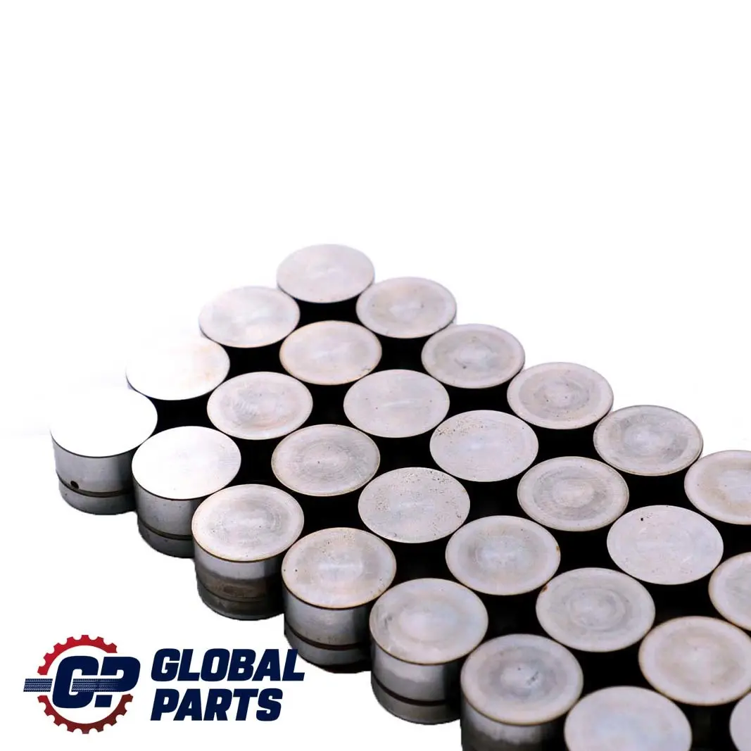 4.4i 4.6is M62 Juego De taqu?s hidraulicos para BMW E38 E39 E53 con número de pieza 1440256 BMW E38 E39 E53 4.4i 4.6is M62 Juego De taqu?s hidraulicos - SKU 1440256 - Número de pieza 1440256