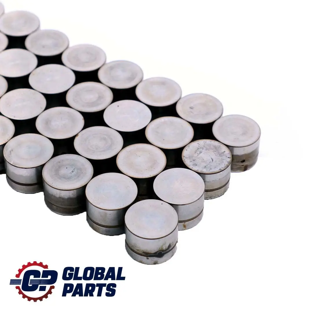 4.4i 4.6is M62 Juego De taqu?s hidraulicos para BMW E38 E39 E53 con número de pieza 1440256 BMW E38 E39 E53 4.4i 4.6is M62 Juego De taqu?s hidraulicos - SKU 1440256 - Número de pieza 1440256