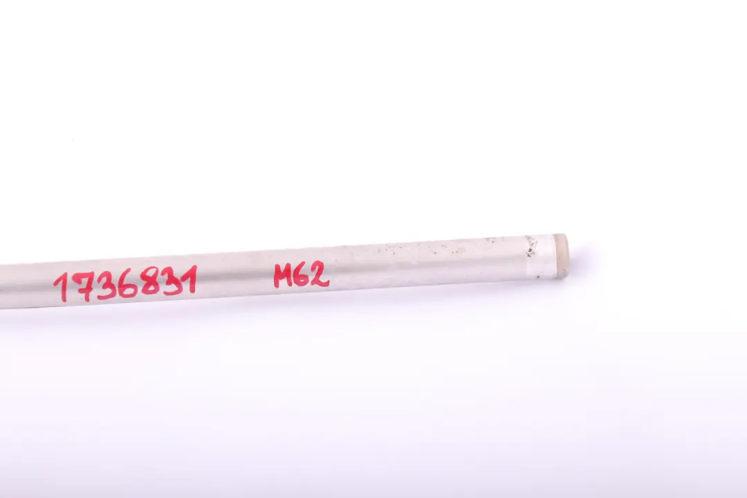 Motore Raffreddamento Del Motore Tubo Benzina M62 per BMW X5 E34 E38 E39 E53 con numero di parte 1736831 BMW X5 E34 E38 E39 E53 Motore Raffreddamento Del Motore Tubo Benzina M62 - SKU 1736831 - Numero di parte 1736831