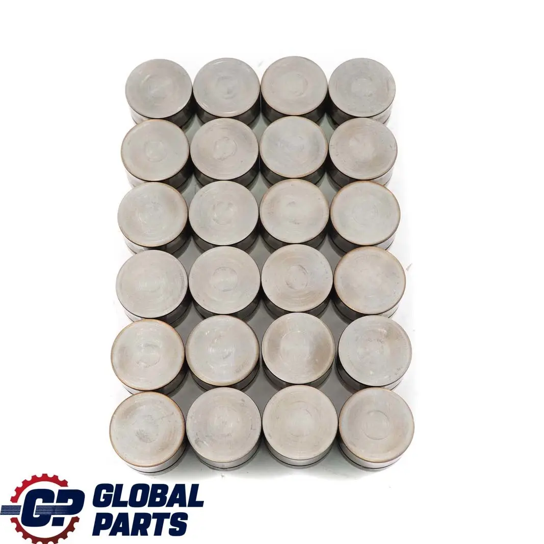 M54 Camshaft Hydraulic Valve Tappet Set to BMW 5 7 X3 X5 E53 E60 E65 E83 with Part number 1748884 BMW 5 7 X3 X5 E53 E60 E65 E83 M54 Camshaft Hydraulic Valve Tappet Set - SKU 1748884-1 - Part number 1748884