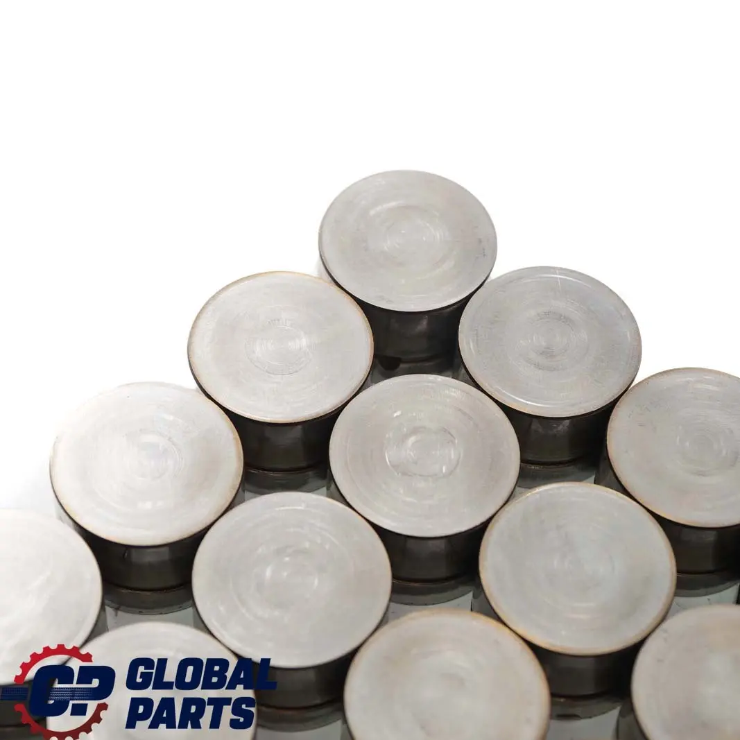 M54 Camshaft Hydraulic Valve Tappet Set to BMW 5 7 X3 X5 E53 E60 E65 E83 with Part number 1748884 BMW 5 7 X3 X5 E53 E60 E65 E83 M54 Camshaft Hydraulic Valve Tappet Set - SKU 1748884-1 - Part number 1748884