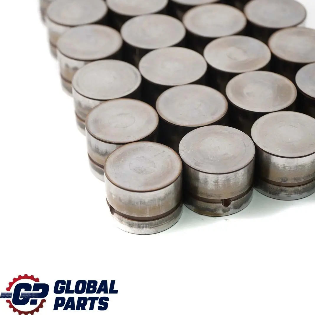 M54 Camshaft Hydraulic Valve Tappet Set to BMW 5 7 X3 X5 E53 E60 E65 E83 with Part number 1748884 BMW 5 7 X3 X5 E53 E60 E65 E83 M54 Camshaft Hydraulic Valve Tappet Set - SKU 1748884-1 - Part number 1748884