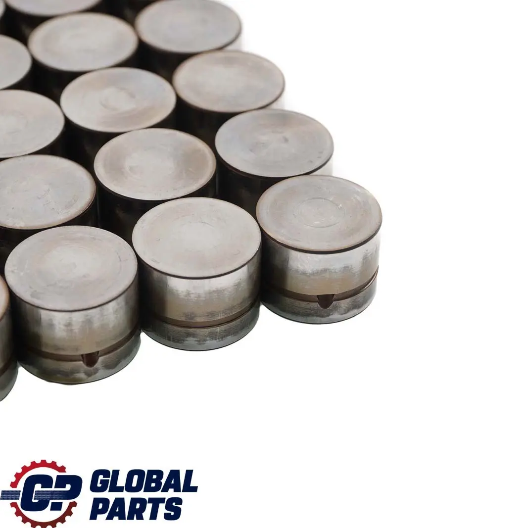 M54 Camshaft Hydraulic Valve Tappet Set to BMW 5 7 X3 X5 E53 E60 E65 E83 with Part number 1748884 BMW 5 7 X3 X5 E53 E60 E65 E83 M54 Camshaft Hydraulic Valve Tappet Set - SKU 1748884-1 - Part number 1748884