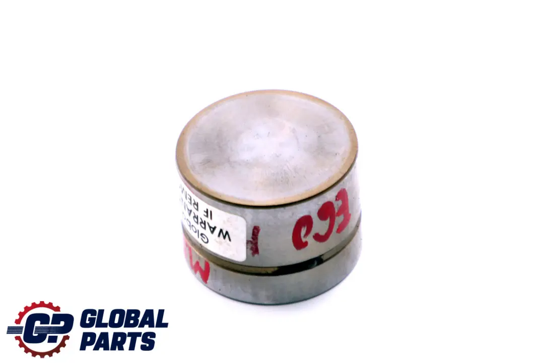 M54 Motore Idraulico Valvola Tappetino Cam per BMW E60 E65 E83 E53 con numero di parte 1748884 BMW E60 E65 E83 E53 M54 Motore Idraulico Valvola Tappetino Cam - SKU 1748884 - Numero di parte 1748884