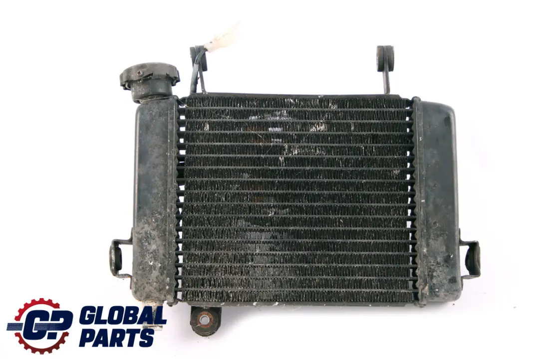 CBR 125 Wasserkühler Radiator Kühler für Honda mit Teilenummer 19010-KPP-861 Honda CBR 125 Wasserkühler Radiator Kühler - SKU 19010-KPP-861 - Teilenummer 19010-KPP-861