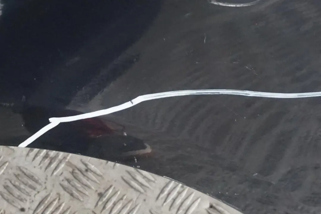 Side Panel Fender Wing Front Left N/S Monacoblau Blue - A35 to BMW 3 E92 1 with Part number 2155919 BMW 3 E92 1 Side Panel Fender Wing Front Left N/S Monacoblau Blue - A35 - SKU 2155919-MB1 - Part number 2155919