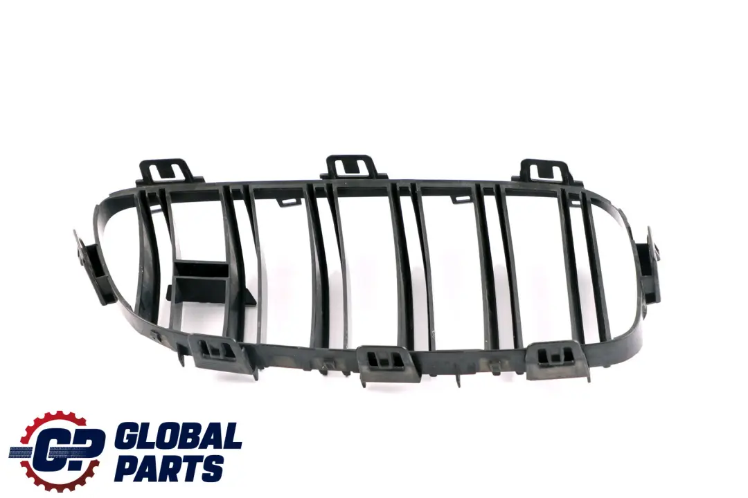 Frontstoßstange Ziergitter Links Hochglänzend für BMW 4 er F82 F83 LCI M4 mit Teilenummer 2352811 BMW 4 er F82 F83 LCI M4 Frontstoßstange Ziergitter Links Hochglänzend - SKU 2352811 - Teilenummer 2352811