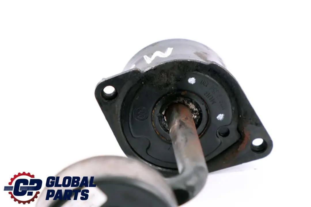 M57 Tendeur de courroie d'alternateur pour BMW E46 X5 E53 3.0d à propos du numéro de pièce 2354130 BMW E46 X5 E53 3.0d M57 Tendeur de courroie d'alternateur - SKU 2354130 - Numéro de pièce 2354130