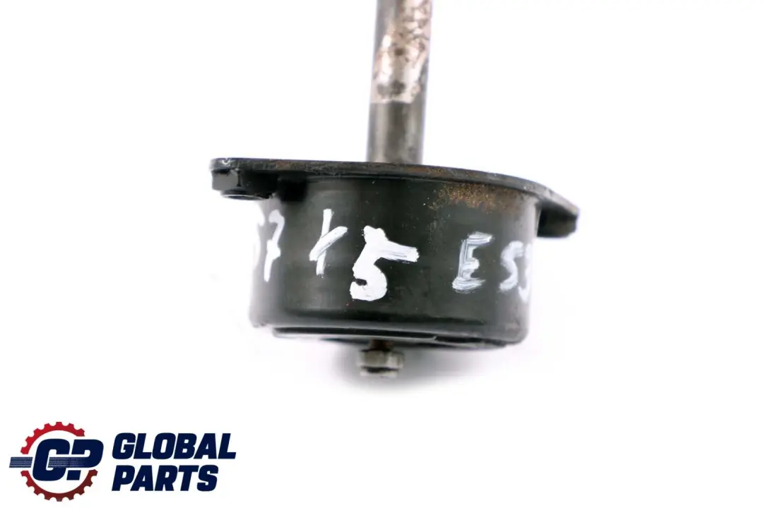 M57 Tendeur de courroie d'alternateur pour BMW E46 X5 E53 3.0d à propos du numéro de pièce 2354130 BMW E46 X5 E53 3.0d M57 Tendeur de courroie d'alternateur - SKU 2354130 - Numéro de pièce 2354130