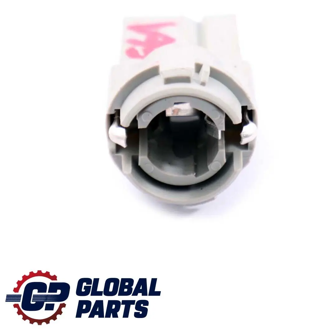 Lampen Fassung Glühlampe Hinten BMW 3 5 er E36 E61 - SKU 2489804 - Teilenummer 2489804