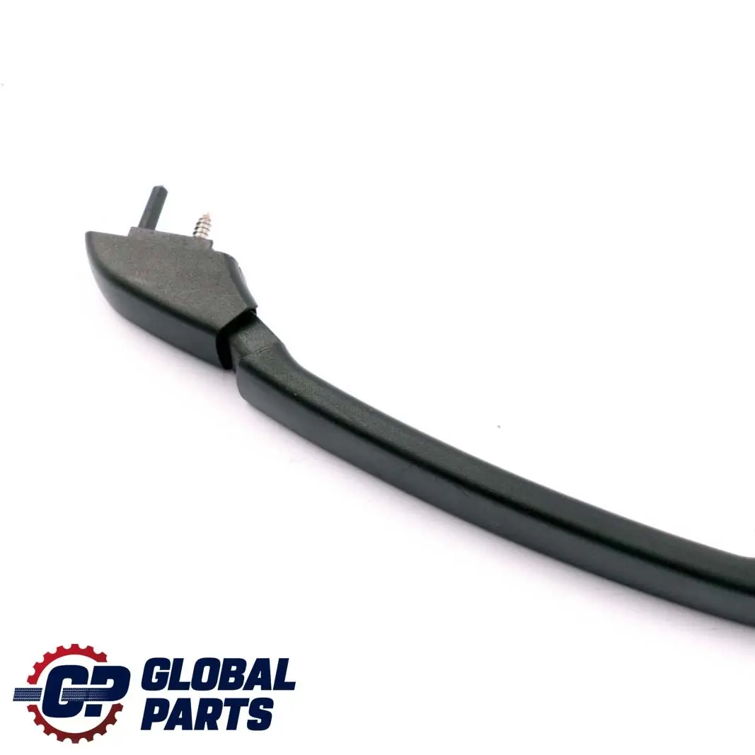 BMW 3 E46 Roof Grab Handle ITS Headlining Front Left Right N/O/S Black - SKU 2699050 - Part number 2699050