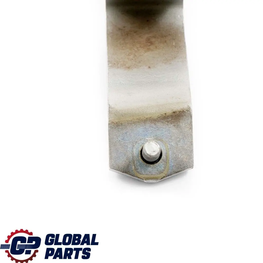 Cerniera Portellone Bagagliaio Destro Argento Puro - 900 per Mini R56 con numero di parte 2754280 Mini R56 Cerniera Portellone Bagagliaio Destro Argento Puro - 900 - SKU 2754280-PS - Numero di parte 2754280