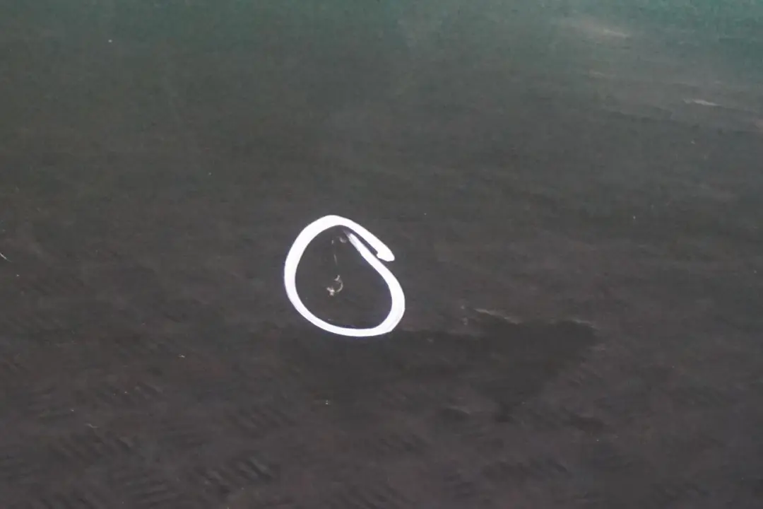 Door Front Left N/S British Racing Green to Mini Cooper R55 R56 R57 R58 R59 with Part number 2755935 Mini Cooper R55 R56 R57 R58 R59 Door Front Left N/S British Racing Green - SKU 2755935-BRG3 - Part number 2755935