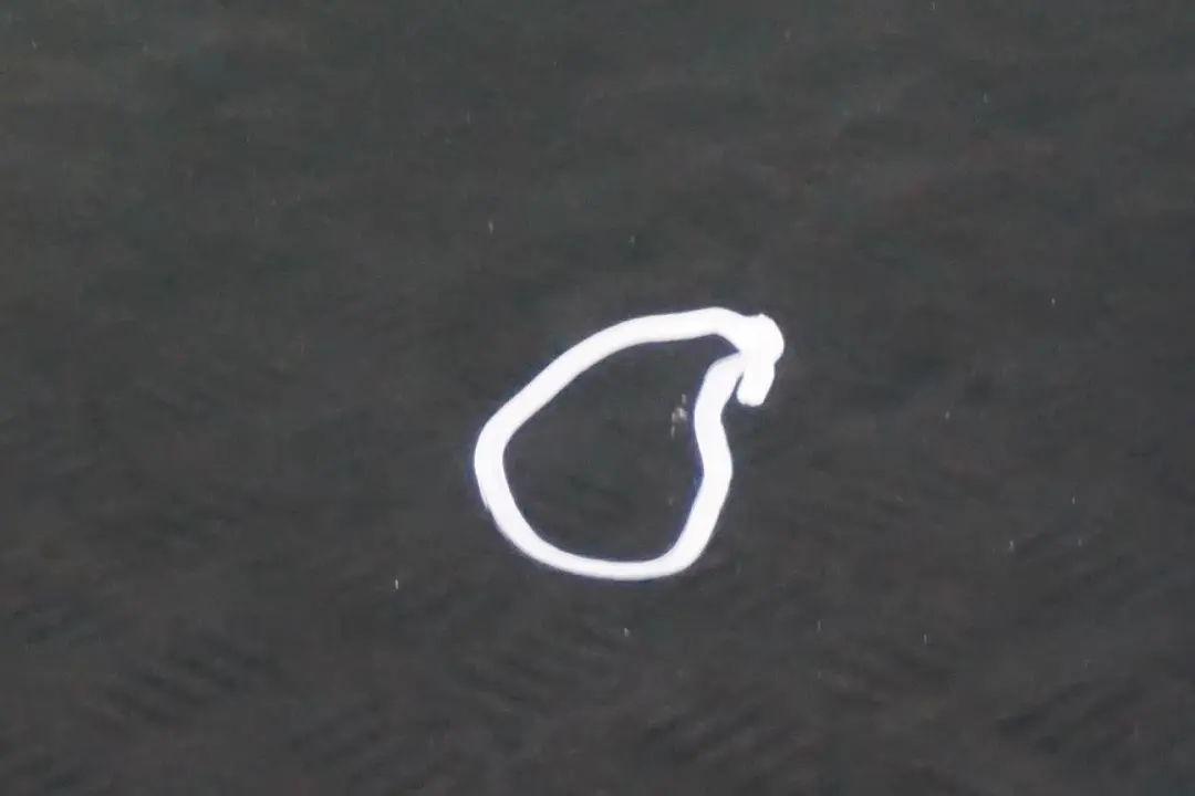 Fahrerseite Tür Vorne Links British Green für BMW Mini Cooper 3 R55 R56 R57 R58 R59 mit Teilenummer 2755935 BMW Mini Cooper 3 R55 R56 R57 R58 R59 Fahrerseite Tür Vorne Links British Green - SKU 2755935-BRG3 - Teilenummer 2755935