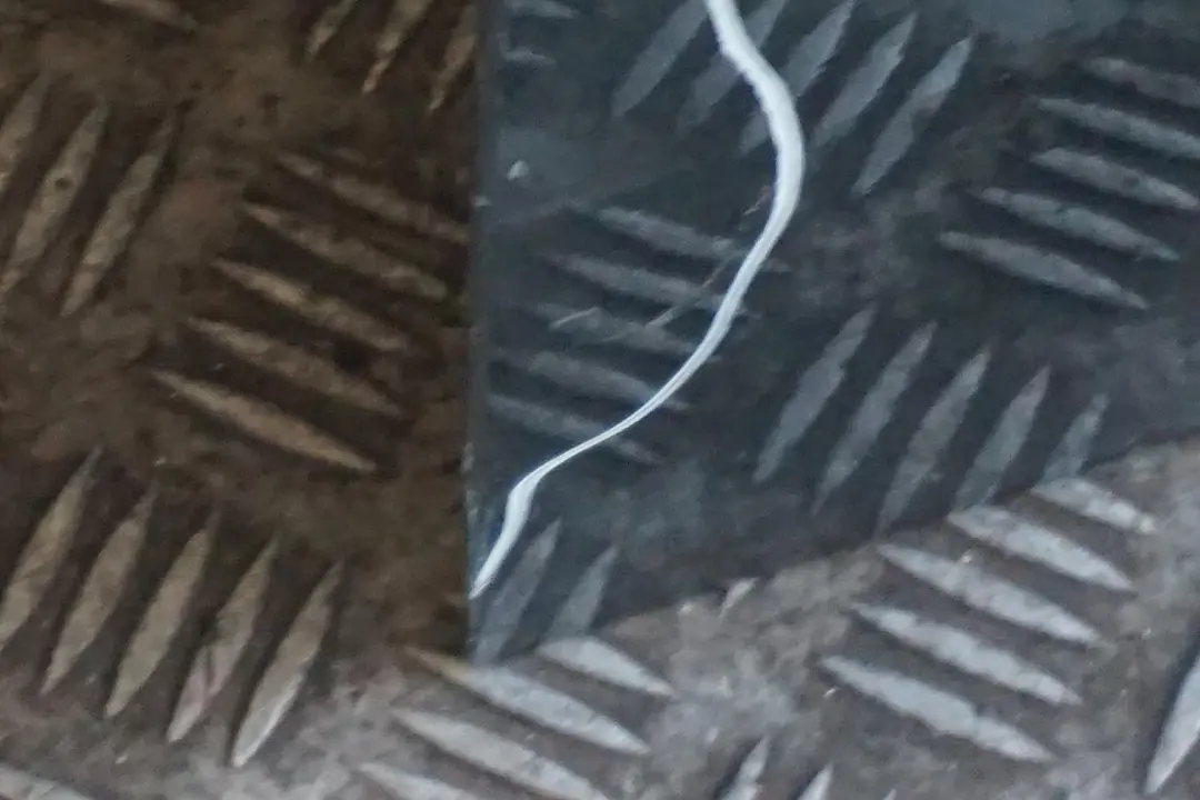 Fahrerseite Tür Vorne Links British Green für BMW Mini Cooper 3 R55 R56 R57 R58 R59 mit Teilenummer 2755935 BMW Mini Cooper 3 R55 R56 R57 R58 R59 Fahrerseite Tür Vorne Links British Green - SKU 2755935-BRG3 - Teilenummer 2755935