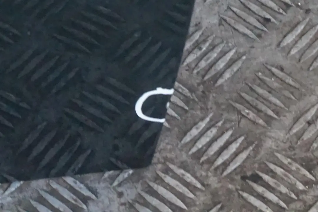 Fahrerseite Tür Vorne Links British Green für BMW Mini Cooper 3 R55 R56 R57 R58 R59 mit Teilenummer 2755935 BMW Mini Cooper 3 R55 R56 R57 R58 R59 Fahrerseite Tür Vorne Links British Green - SKU 2755935-BRG3 - Teilenummer 2755935