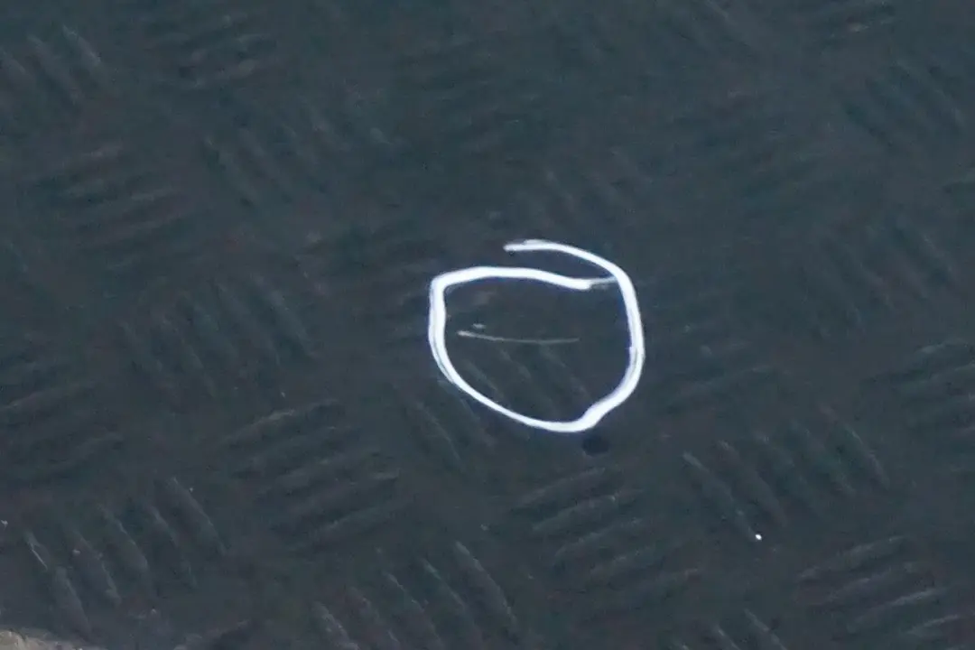 Gauche Britanique Vert pour Mini Cooper 5 R55 R56 R57 R58 R59 Porte avant à propos du numéro de pièce 2755935 Mini Cooper 5 R55 R56 R57 R58 R59 Porte avant Gauche Britanique Vert - SKU 2755935-BRG5 - Numéro de pièce 2755935