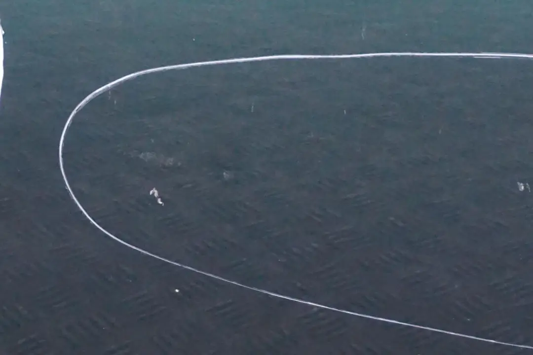 Tür Vorne Links British Green für BMW MINI Cooper 5 R55 R56 R57 R58 R59 mit Teilenummer 2755935 BMW MINI Cooper 5 R55 R56 R57 R58 R59 Tür Vorne Links British Green - SKU 2755935-BRG5 - Teilenummer 2755935