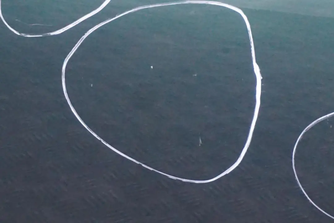 Tür Vorne Links British Green für BMW MINI Cooper 5 R55 R56 R57 R58 R59 mit Teilenummer 2755935 BMW MINI Cooper 5 R55 R56 R57 R58 R59 Tür Vorne Links British Green - SKU 2755935-BRG5 - Teilenummer 2755935