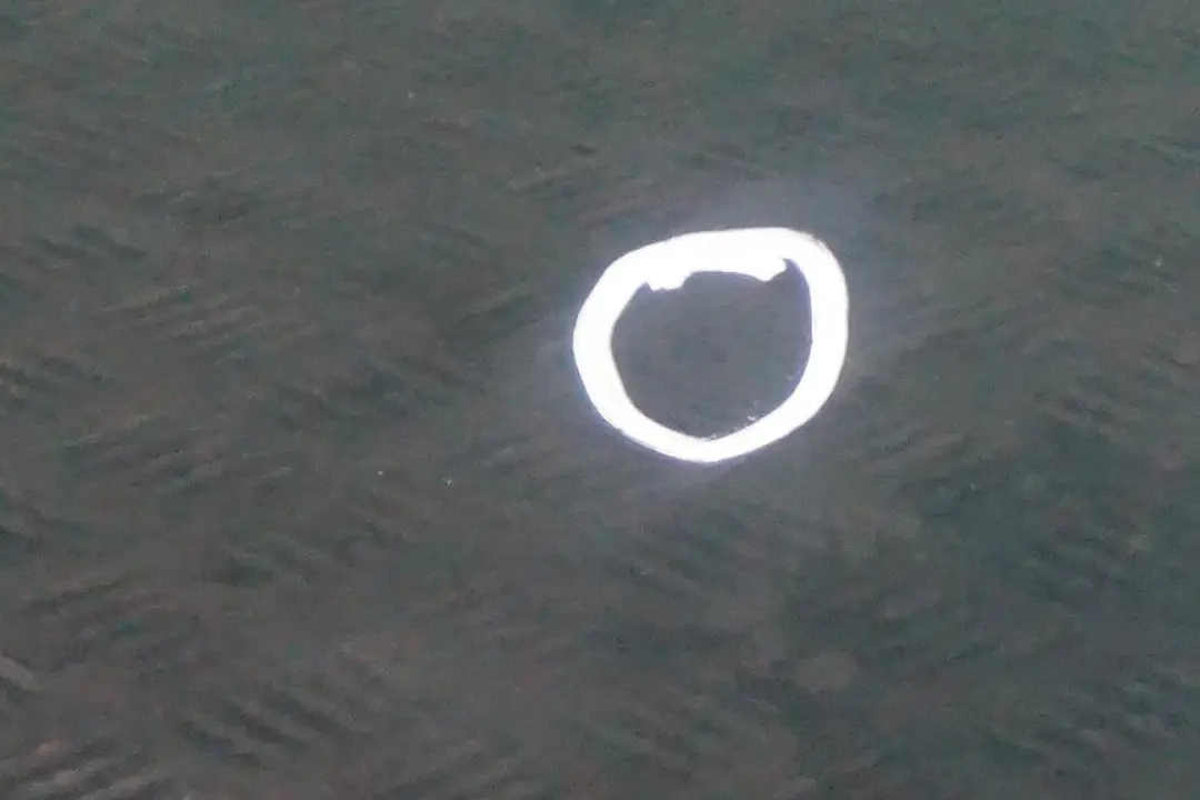 Drzwi prawe British Racing Green A67 do Mini R55 R56 o numerze 2755936 Mini R55 R56 Drzwi prawe British Racing Green A67 - SKU 2755936-BRG5 - Numer Części 2755936