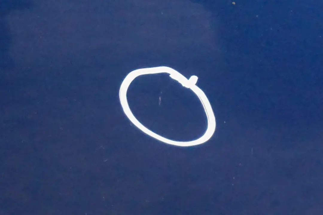 Drzwi prawe Lightning Blue A63 do MINI Cooper R56 o numerze 2755936 MINI Cooper R56 Drzwi prawe Lightning Blue A63 - SKU 2755936-LB10 - Numer Części 2755936