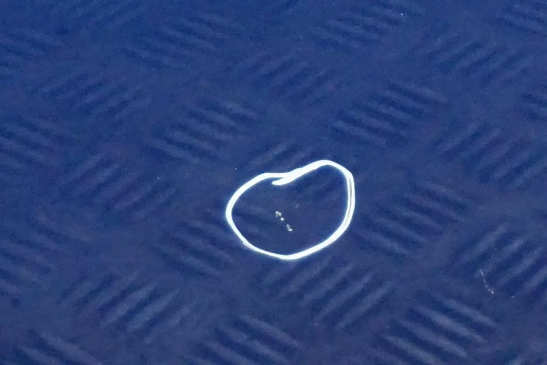 Drzwi prawe Lightning Blue A63 do MINI Cooper R56 o numerze 2755936 MINI Cooper R56 Drzwi prawe Lightning Blue A63 - SKU 2755936-LB11 - Numer Części 2755936