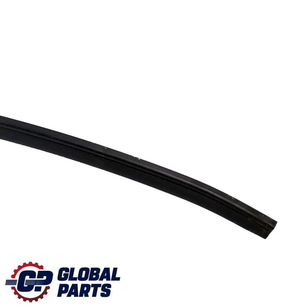 Paratia Cappuccio Coperchio Striscia di fissaggio per Mini One R55 R56 R57 con numero di parte 2756196 Mini One R55 R56 R57 Paratia Cappuccio Coperchio Striscia di fissaggio - SKU 2756196 - Numero di parte 2756196