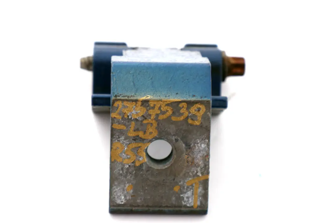 Charnière Porte Club Arrière Dessus Bleu pour Mini Clubman R55 à propos du numéro de pièce 2757539 Mini Clubman R55 Charnière Porte Club Arrière Dessus Bleu - SKU 2757539-LB - Numéro de pièce 2757539