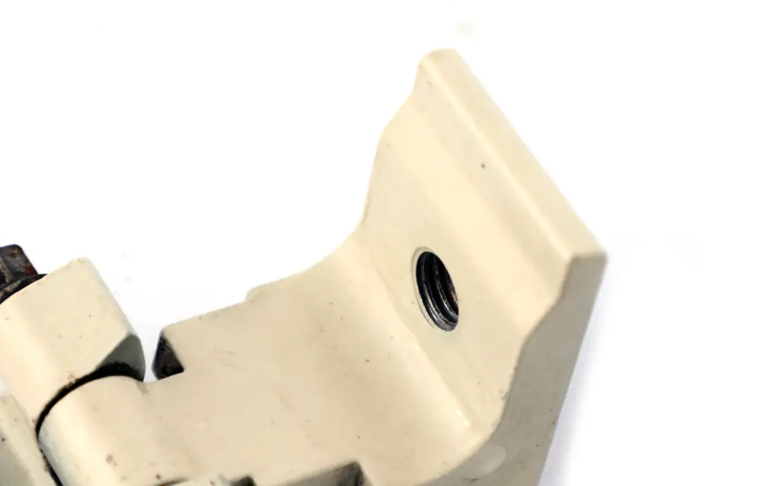 Hinge Clubdoor Rear Bottom Pepper White 7167463 to BMW Mini Clubman R55 with Part number 2757540 BMW Mini Clubman R55 Hinge Clubdoor Rear Bottom Pepper White 7167463 - SKU 2757540-PW - Part number 2757540