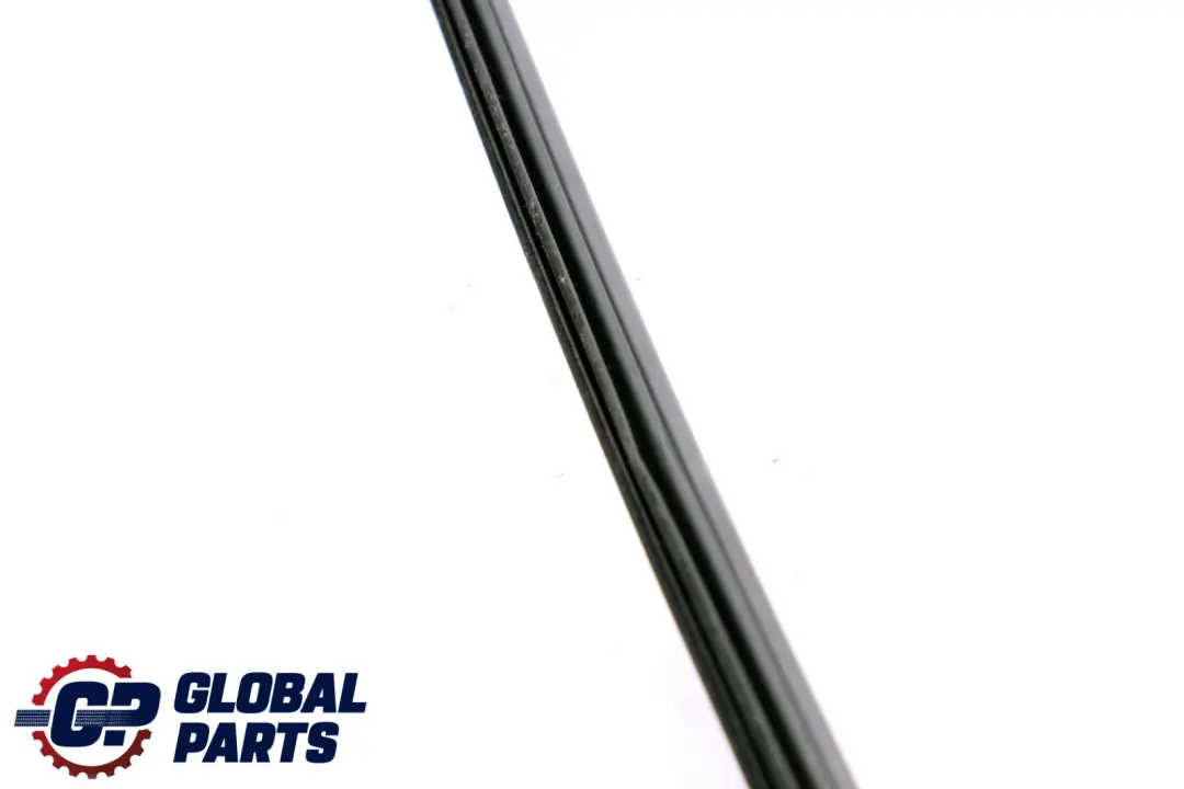 BMW X1 E84 Schachtabdichtung Interieur Porte avant Gauche - SKU 2990301 - Numéro de pièce 2990301