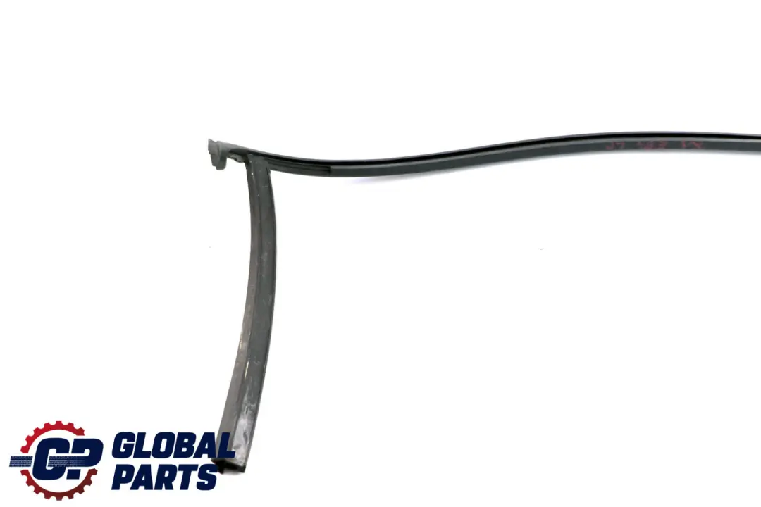 BMW X1 Series E84 Window Guide Seal Left Front Door N/S - SKU 2990307 - Part number 2990307