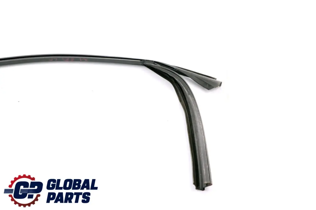 BMW X1 Series E84 Window Guide Seal Left Front Door N/S - SKU 2990307 - Part number 2990307
