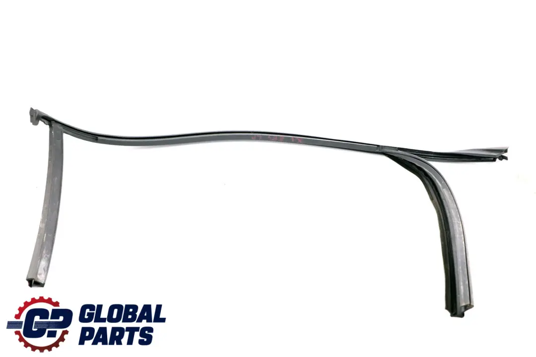 BMW X1 E84 Binario Finestra Porta Anteriore Sinistra 5133 - SKU 2990307 - Numero di parte 2990307