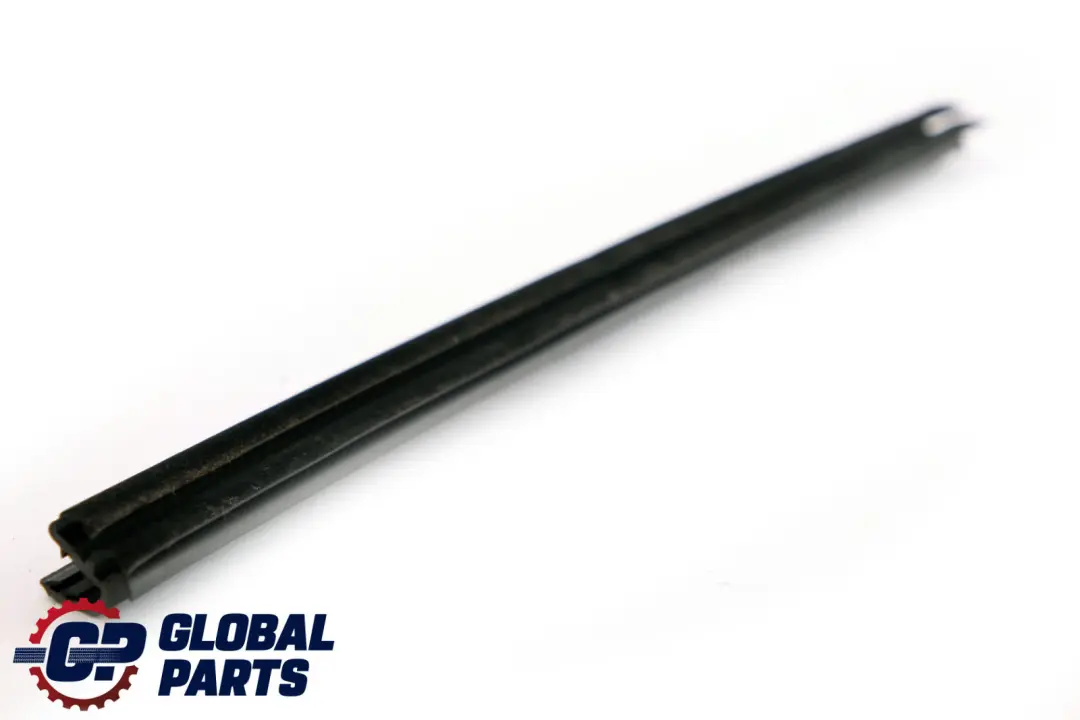 BMW X1 E84 Innen Kanal Dichtung Hinten Links - SKU 2990313 - Teilenummer 2990313