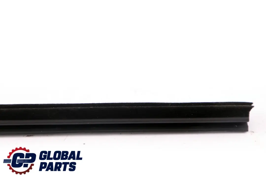 BMW X1 E84 Guarnizione Canale Interno Posteriore Sinistro Guarnizione - SKU 2990313 - Numero di parte 2990313