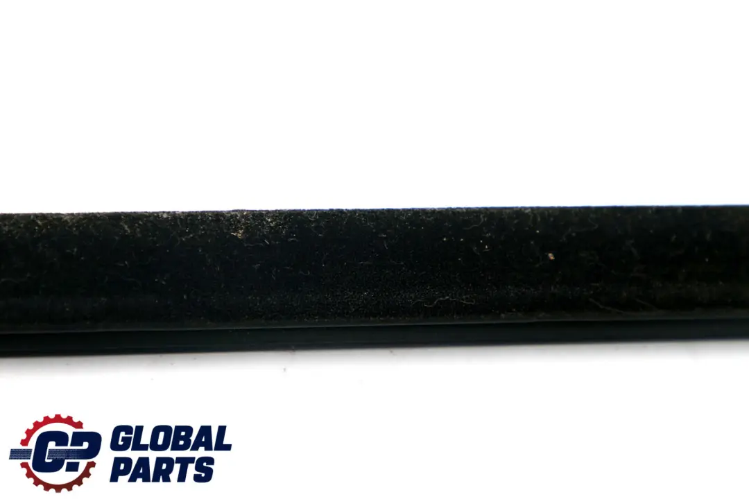 BMW X1 Series E84 Outer Weatherstrip Rear Left Door N/S - SKU 2990315 - Part number 2990315