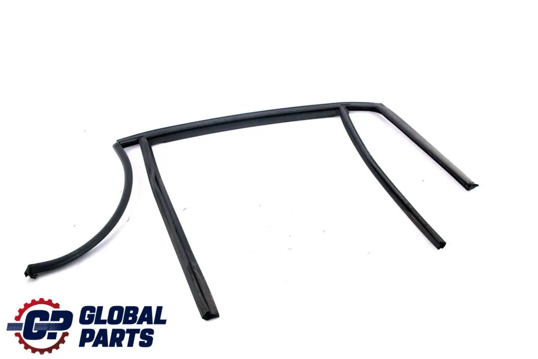 BMW X1 Series E84 Window Guide Seal Gasket Left N/S Rear Door - SKU 2990319 - Part number 2990319
