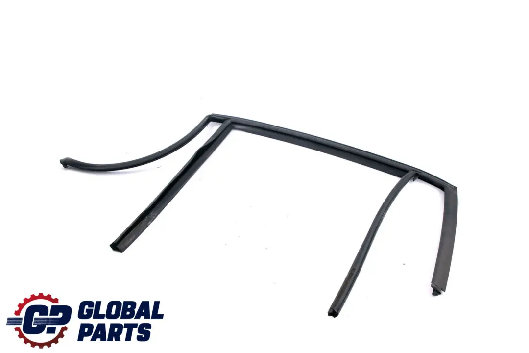 BMW X1 Series E84 Window Guide Seal Gasket Left N/S Rear Door - SKU 2990319 - Part number 2990319
