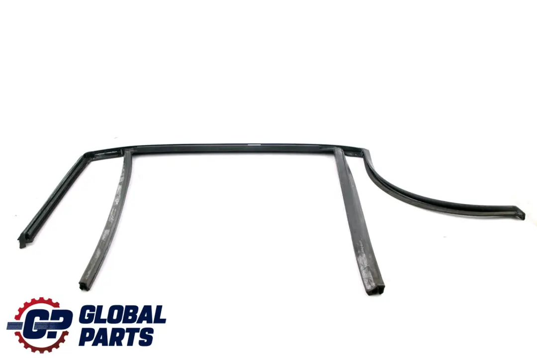 BMW X1 Series E84 Window Guide Seal Gasket Left N/S Rear Door - SKU 2990319 - Part number 2990319
