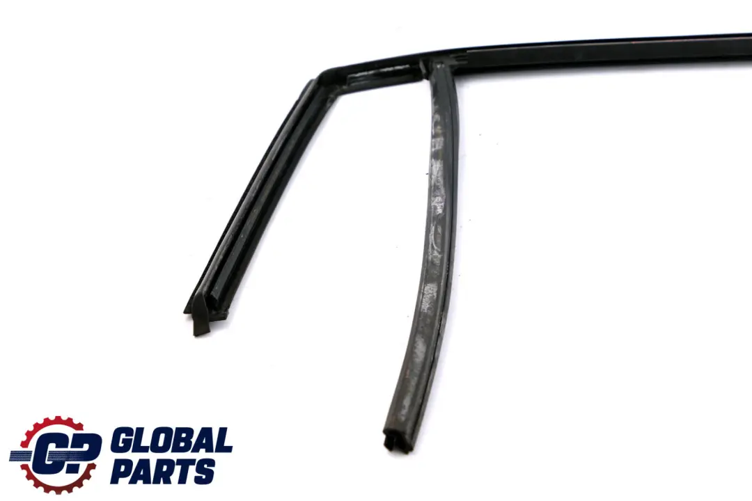 BMW X1 Series E84 Window Guide Seal Gasket Left N/S Rear Door - SKU 2990319 - Part number 2990319